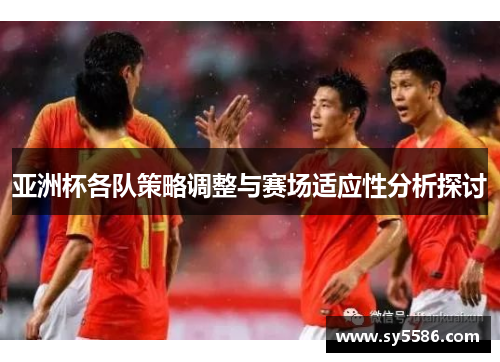 亚洲杯各队策略调整与赛场适应性分析探讨