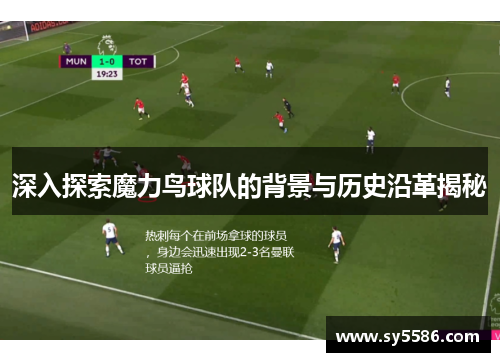 深入探索魔力鸟球队的背景与历史沿革揭秘