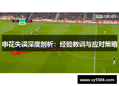 申花失误深度剖析：经验教训与应对策略