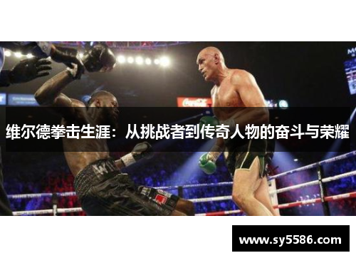 维尔德拳击生涯：从挑战者到传奇人物的奋斗与荣耀