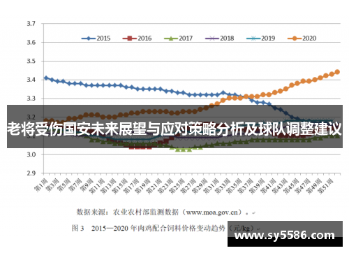 老将受伤国安未来展望与应对策略分析及球队调整建议